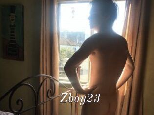 Zboy23