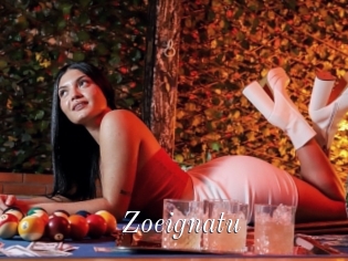 Zoeignatu