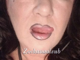 Zoekanaalsub